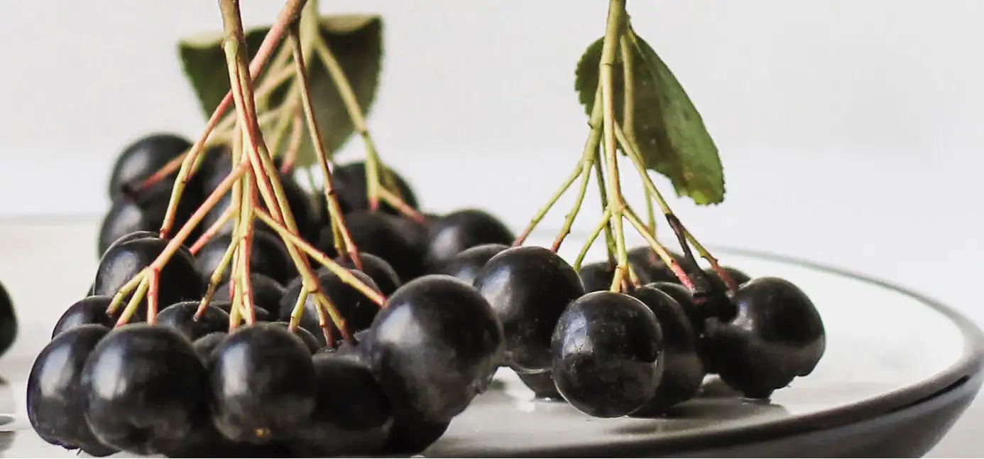 Un amas de baies noires lustrées avec des tiges attachées et des feuilles vertes repose sur une assiette blanche.