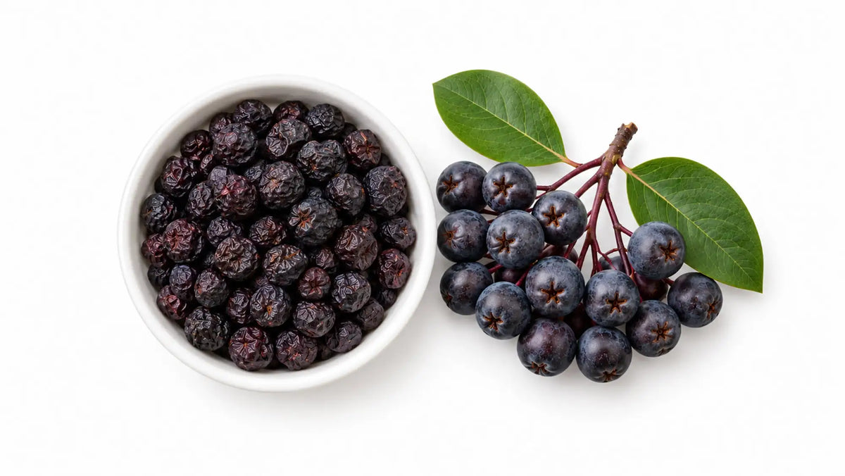 Un groupe de baies d'aronia rouge foncé, brillantes, avec quelques feuilles vertes attachées à leur tige.